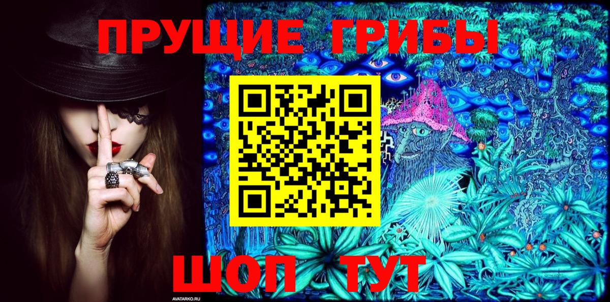 Кандалакша  Галлюциногенные грибы Psilocybe  Вход с VPN 